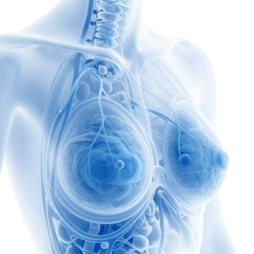 Medical illustration